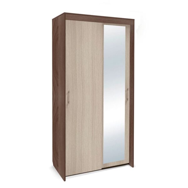 Картинка Шкаф-купе Камелия 2-х дверный с зеркалом Ясень Темный Светлый дизайн-2 ракурс-1